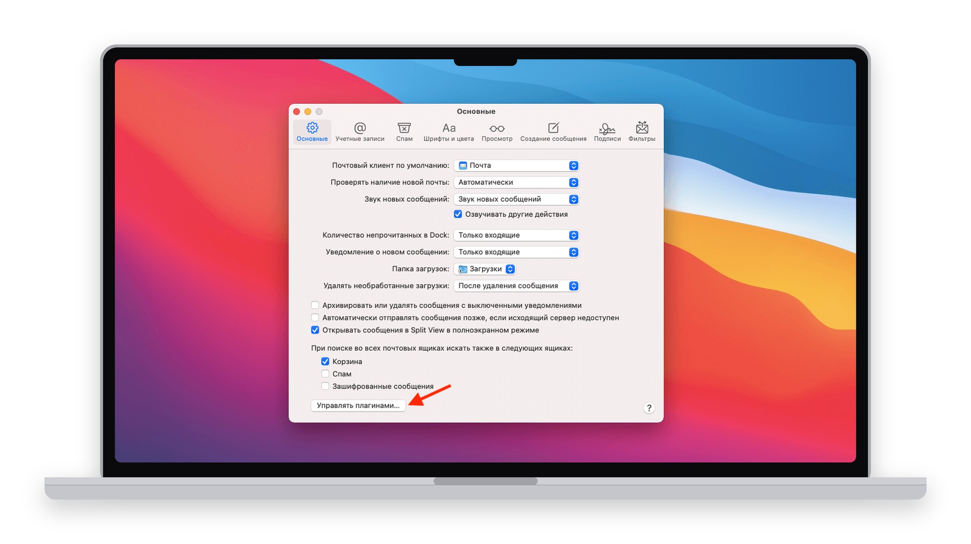 Настройки приложения «Почта» на Mac: кнопка «Управлять плагинами»