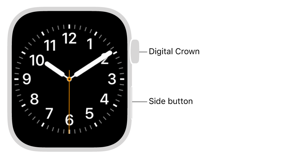 Процесс перезагрузки Apple Watch