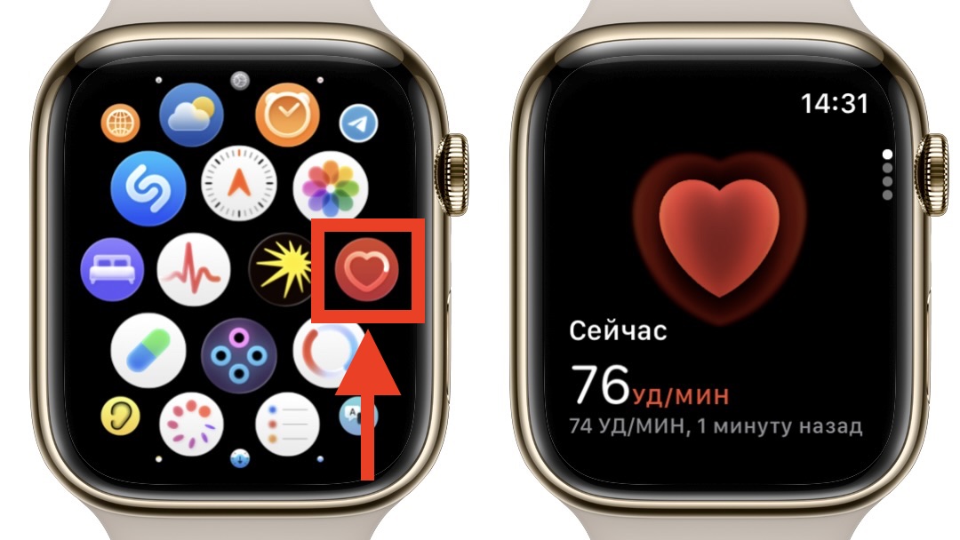 Следите за пульсом не только на тренировке. Работа приложения «Пульс» на Apple Watch. Фото.