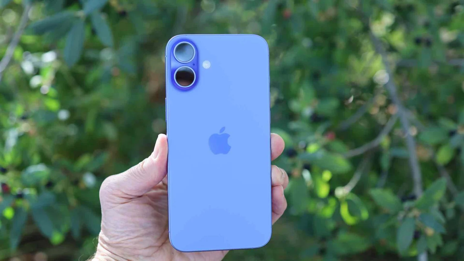 А вдруг Apple вернет iPhone Plus?. iPhone 16 Plus в цвете ультрамарин. Фото.