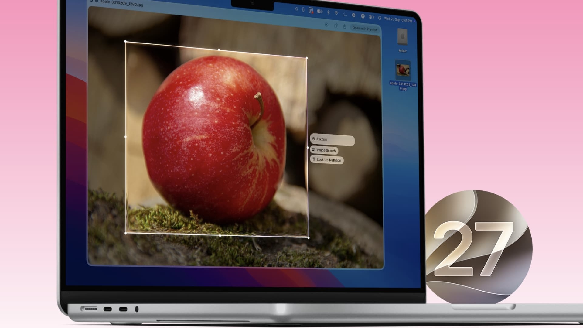 Работа поиска по картинкам в macOS 27