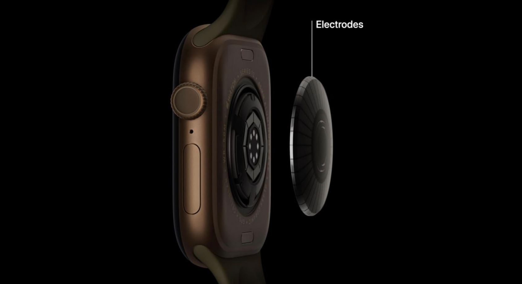 Apple Watch Series 12 лучше следят за сердцем. Обновили датчики в нижней части часов. Фото.