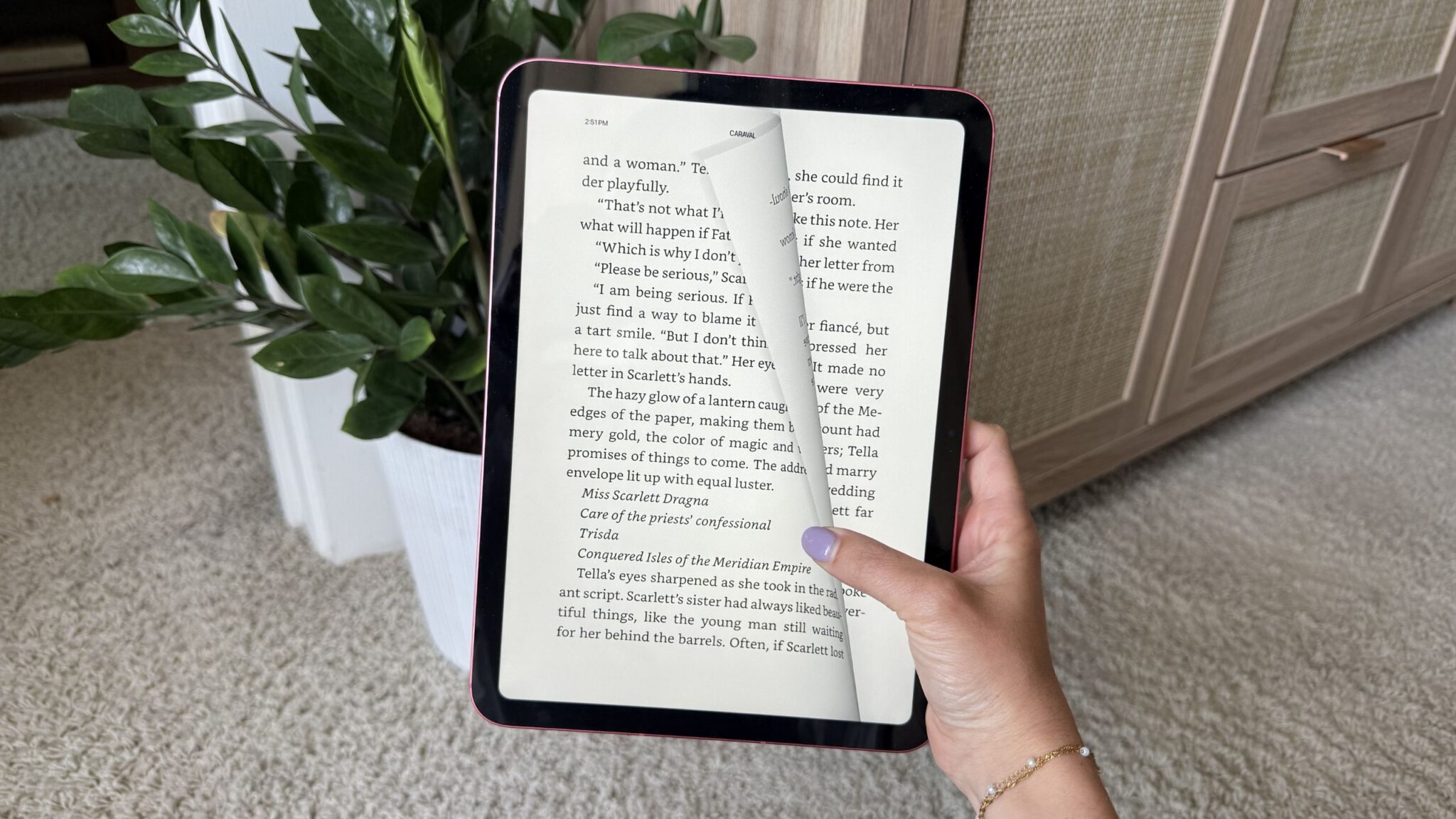 Открытая электронная книга на iPad
