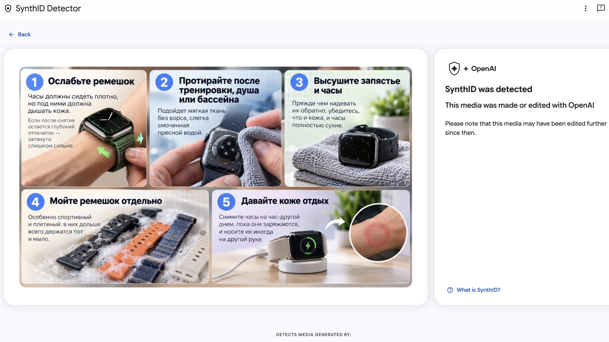 Результат SynthID was detected с пометкой OpenAI для инфографики про Apple Watch